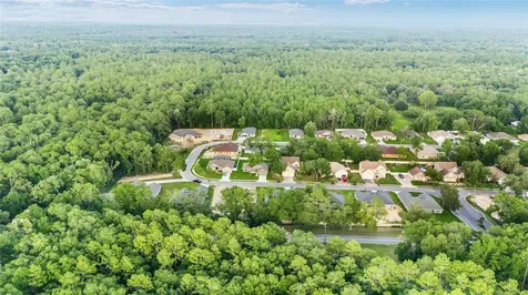 4099 NE 58th Circle Silver Springs FL 34488