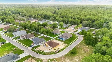 4099 NE 58th Circle Silver Springs FL 34488