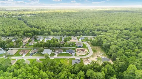 4099 NE 58th Circle Silver Springs FL 34488