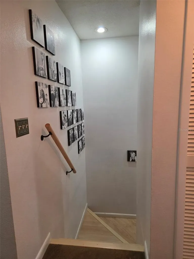 3058 Branch Drive Clearwater FL 33760