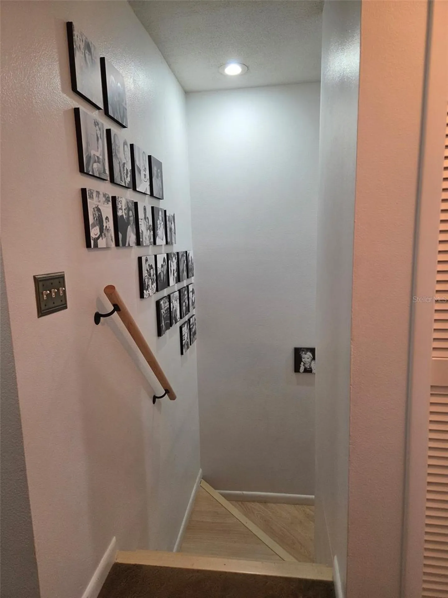3058 Branch Drive Clearwater FL 33760