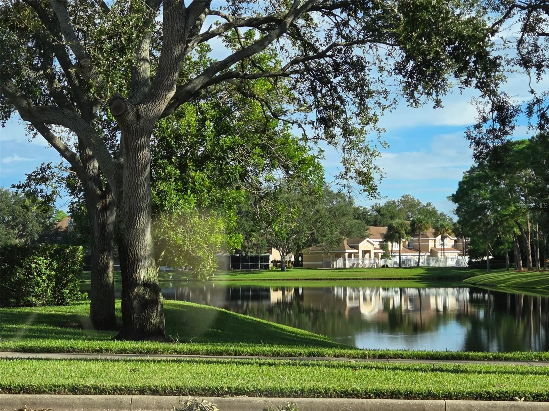 3058 Branch Drive Clearwater FL 33760