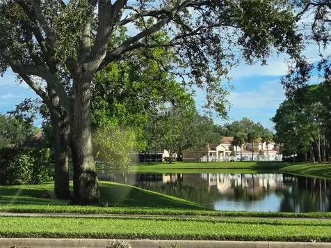 3058 Branch Drive Clearwater FL 33760