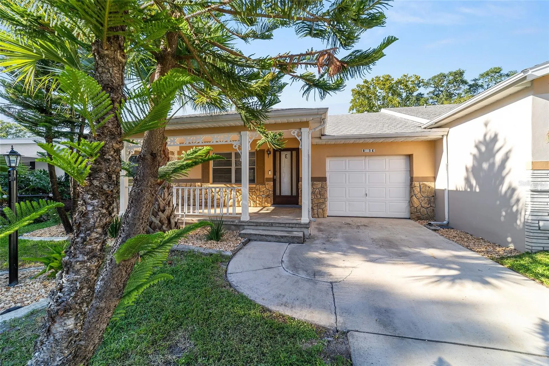 8665 SW 94th Lane Ocala FL 34481