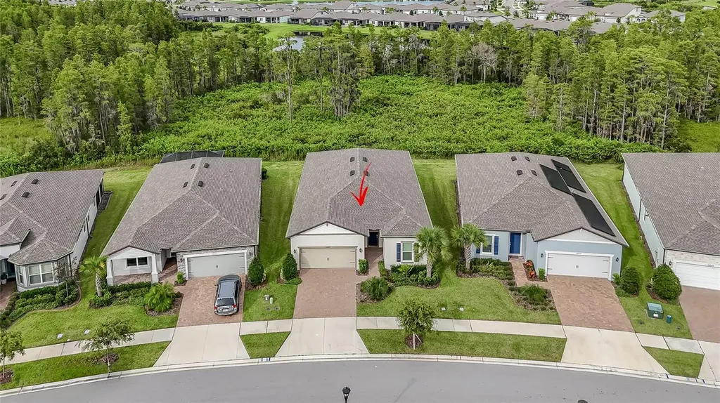 18629 Coastal Shore Terrace Land O Lakes FL 34638