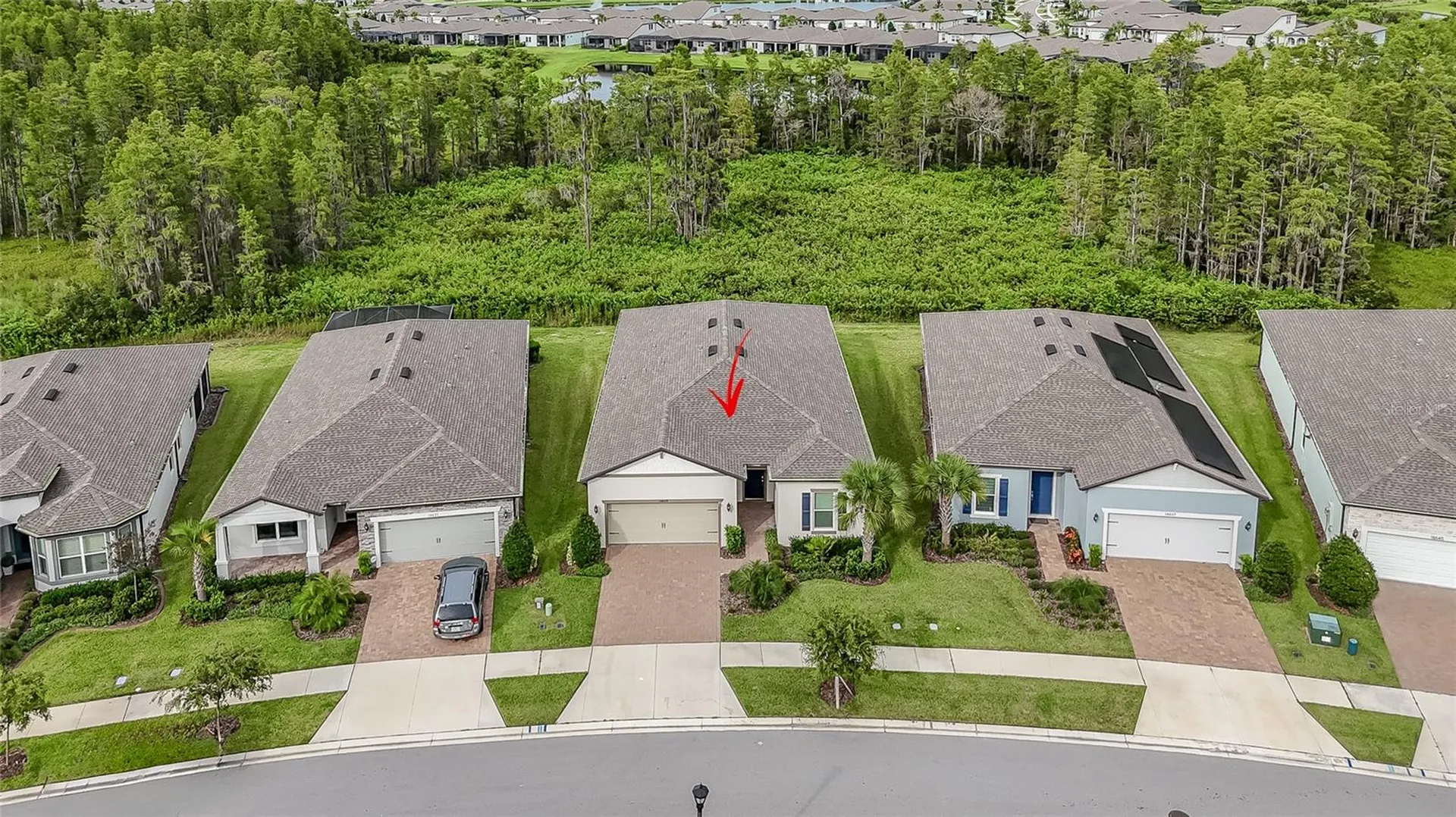 18629 Coastal Shore Terrace Land O Lakes FL 34638