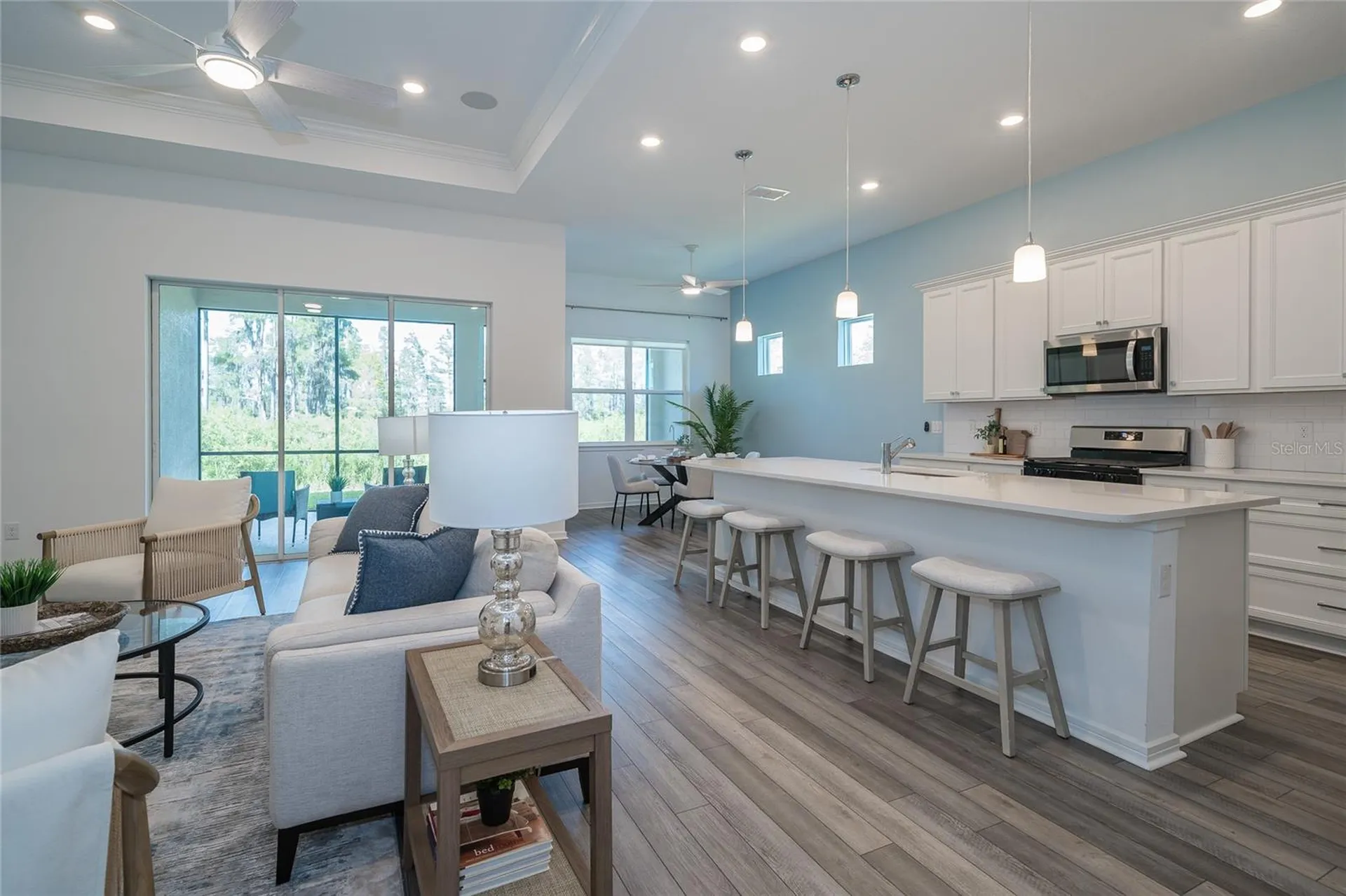 18629 Coastal Shore Terrace Land O Lakes FL 34638