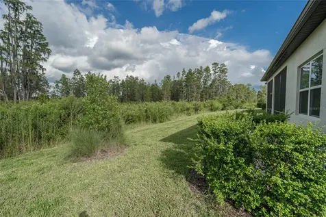 18629 Coastal Shore Terrace Land O Lakes FL 34638