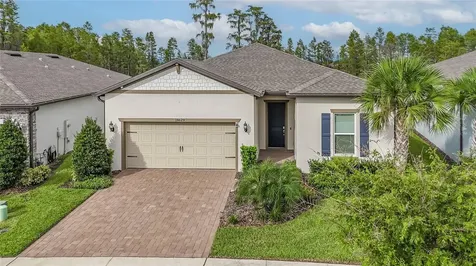 18629 Coastal Shore Terrace Land O Lakes FL 34638