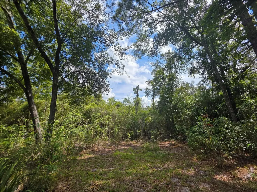 13117 N County Road 225 Gainesville FL 32609