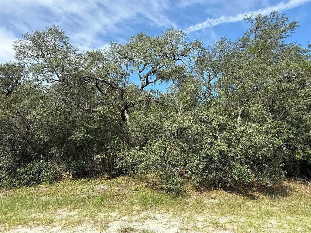 Tbd SW 146th Lane Road Dunnellon FL 34432