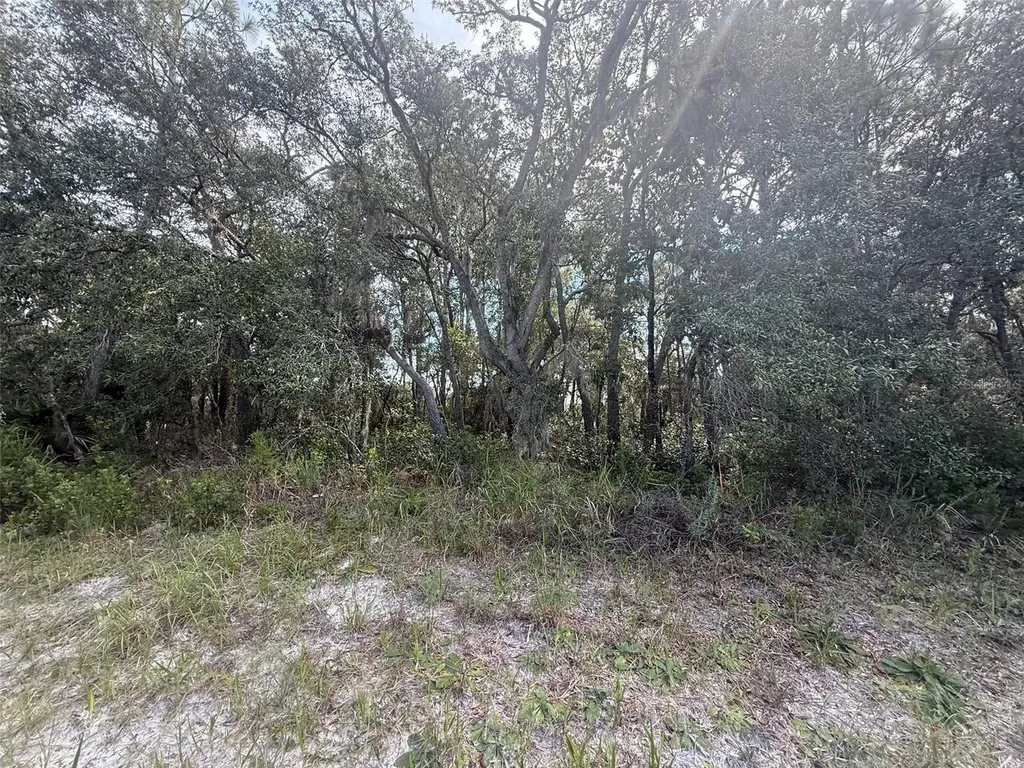 Tbd SW 146th Lane Road Dunnellon FL 34432