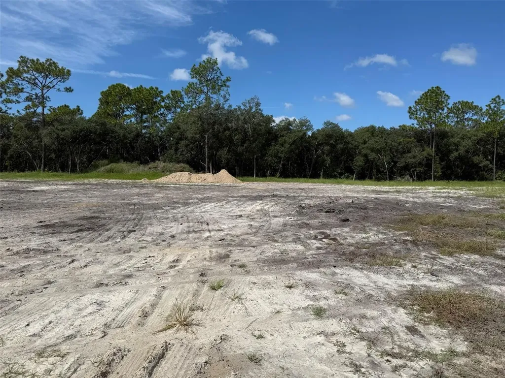 Tbd SW 146th Lane Road Dunnellon FL 34432