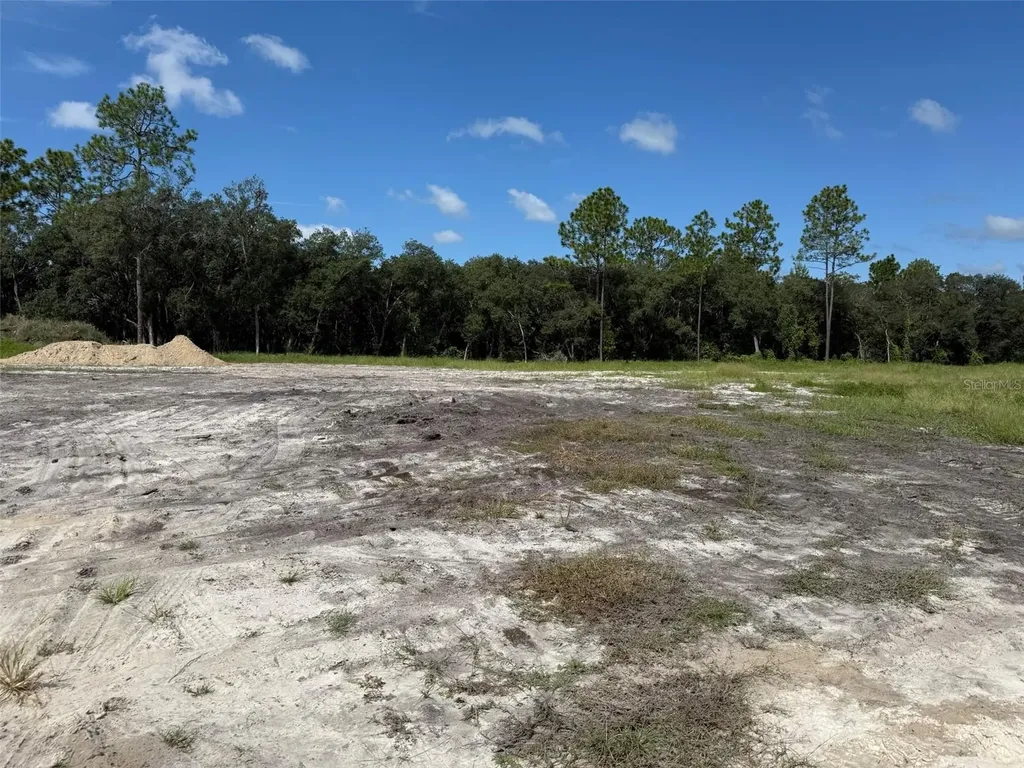 Tbd SW 146th Lane Road Dunnellon FL 34432