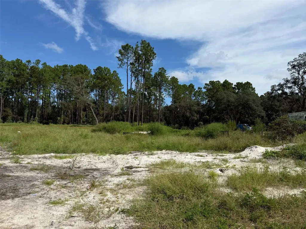 Tbd SW 146th Lane Road Dunnellon FL 34432