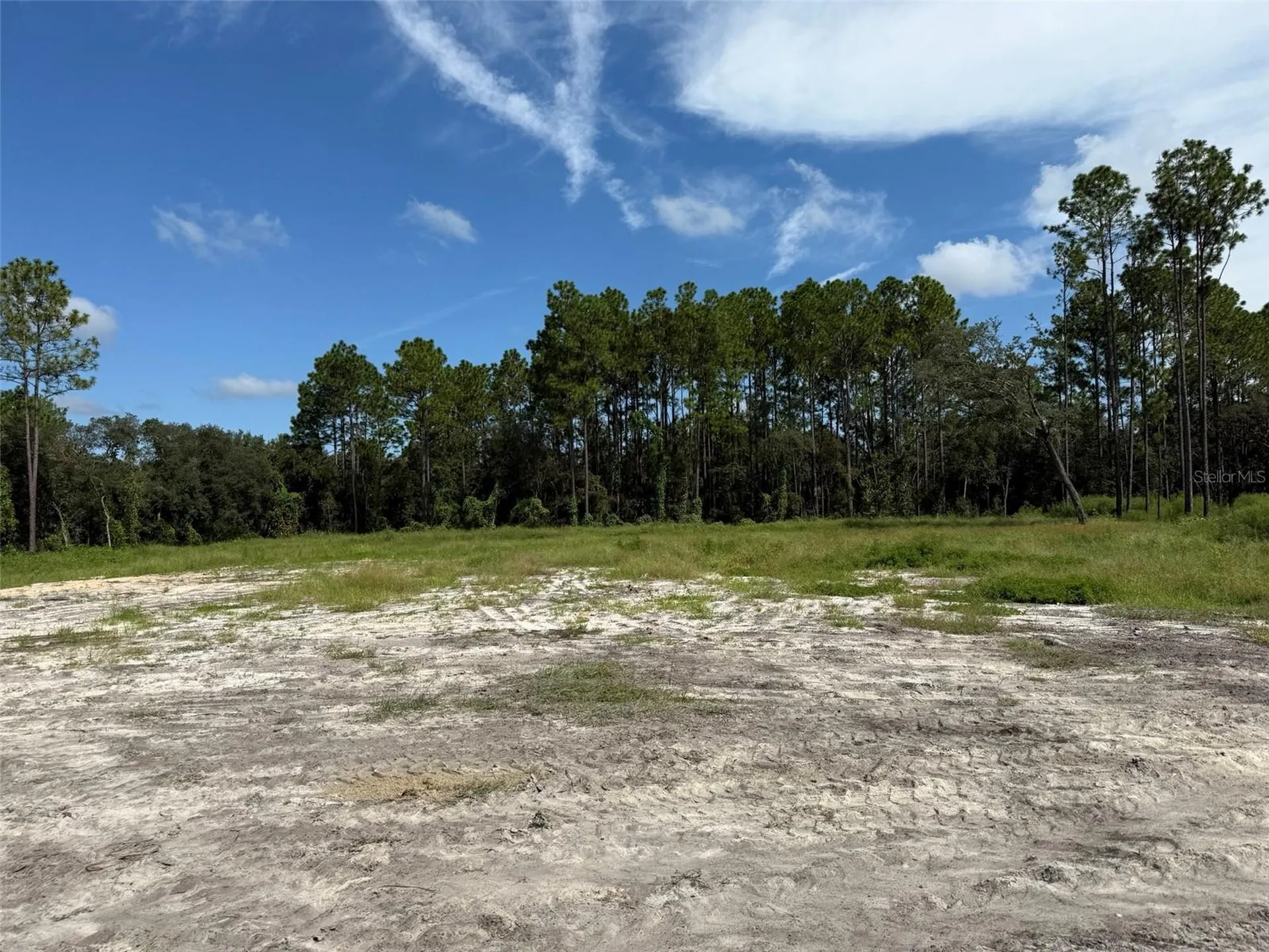 Tbd SW 146th Lane Road Dunnellon FL 34432