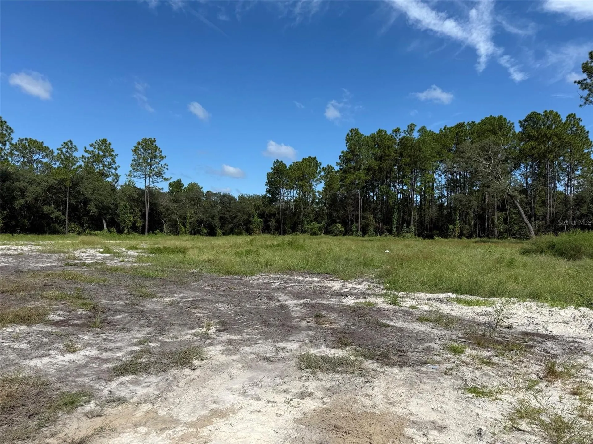 Tbd SW 146th Lane Road Dunnellon FL 34432