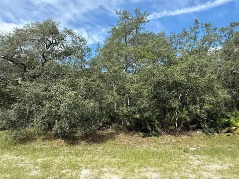 Tbd SW 146th Lane Road Dunnellon FL 34432