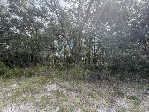 Tbd SW 146th Lane Road Dunnellon FL 34432