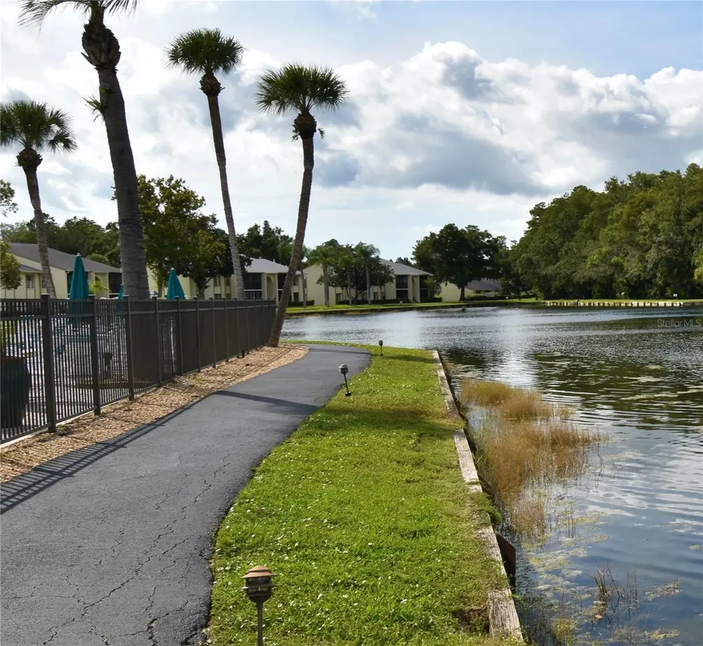 3188 Lake Pine Way S Tarpon Springs FL 34688