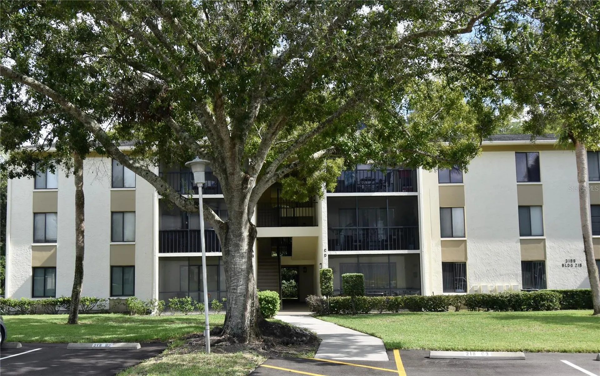 3188 Lake Pine Way S Tarpon Springs FL 34688