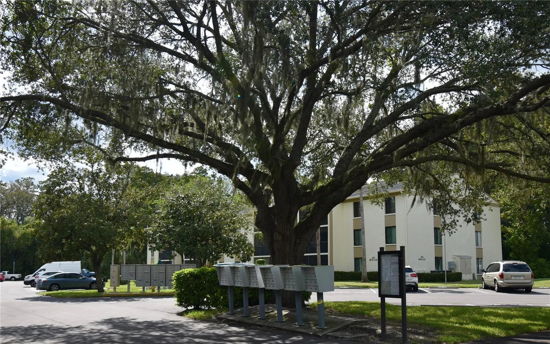 3188 Lake Pine Way S Tarpon Springs FL 34688