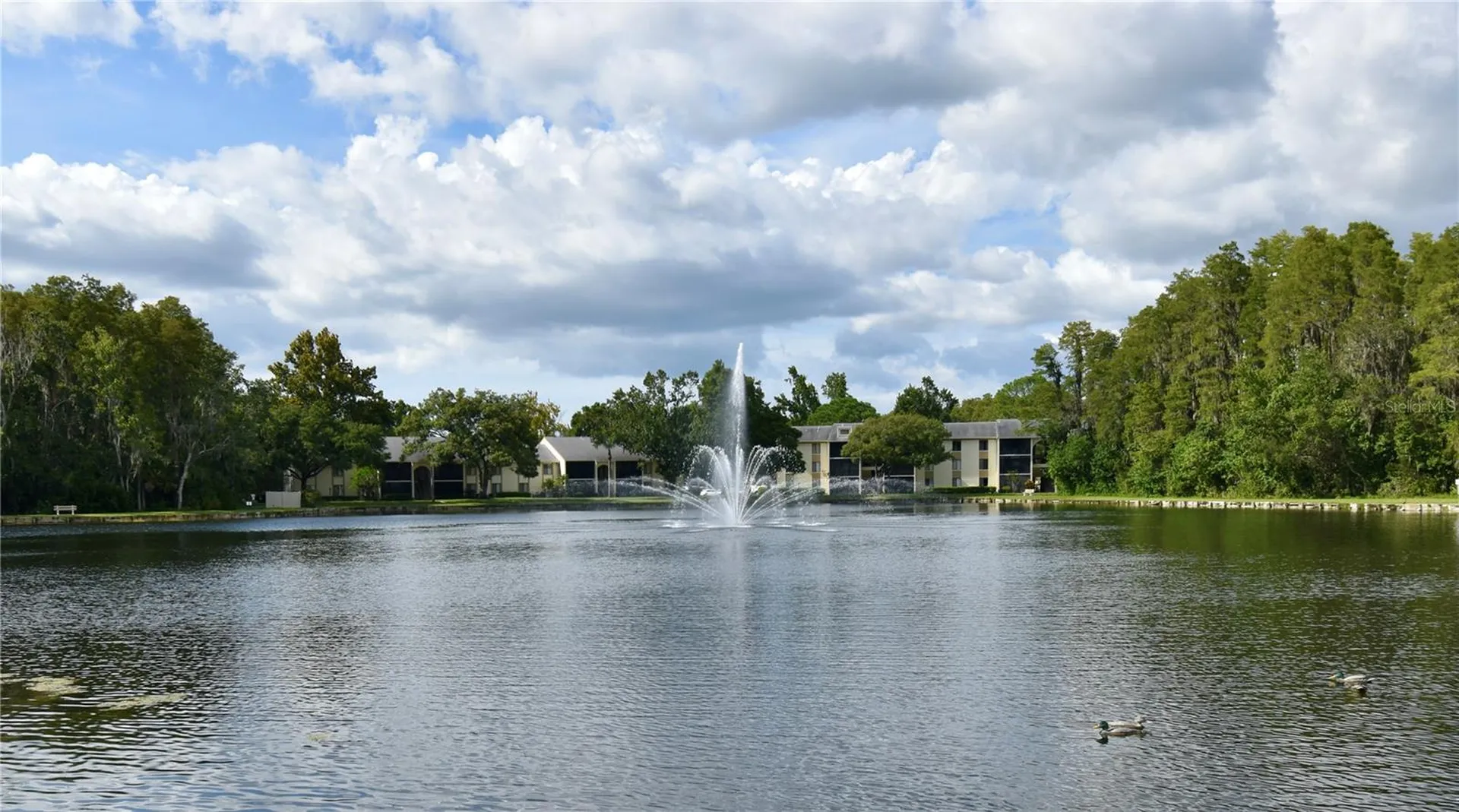3188 Lake Pine Way S Tarpon Springs FL 34688