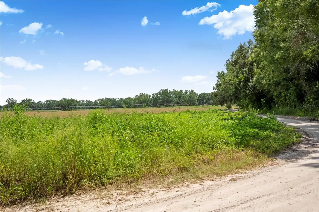 3749 SW 22nd Place Bell FL 32619
