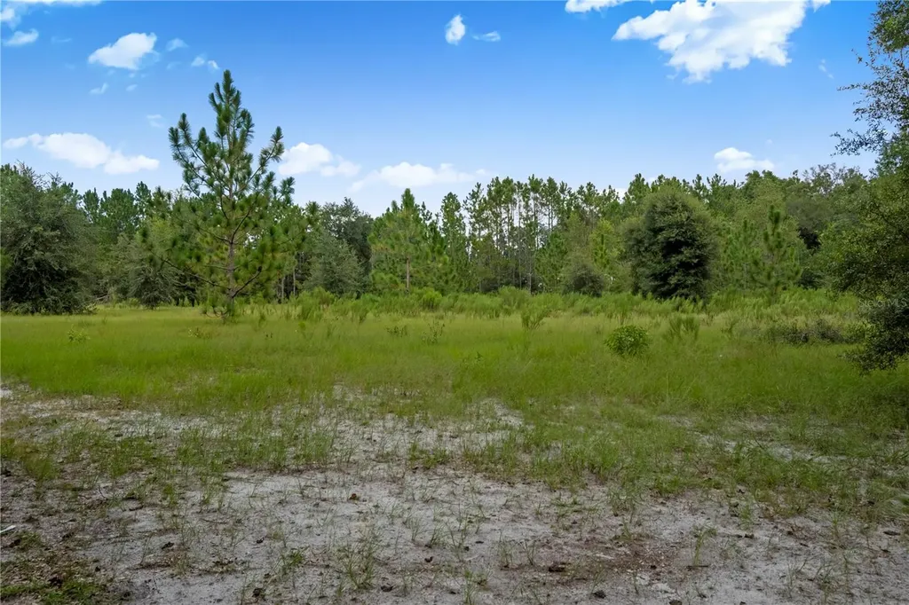 3749 SW 22nd Place Bell FL 32619
