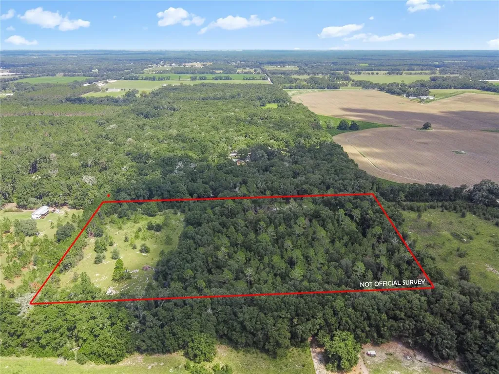 3749 SW 22nd Place Bell FL 32619
