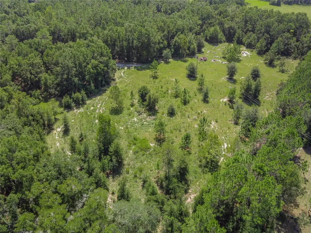 3749 SW 22nd Place Bell FL 32619