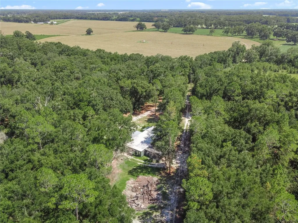 3749 SW 22nd Place Bell FL 32619