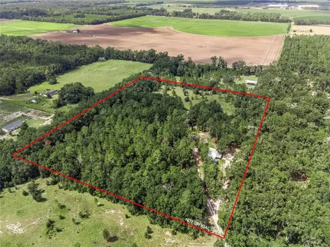 3749 SW 22nd Place Bell FL 32619