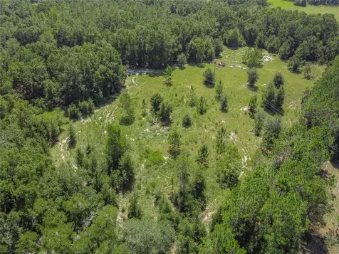3749 SW 22nd Place Bell FL 32619