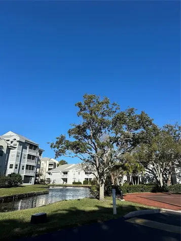 6810 Stones Throw Circle N St Petersburg FL 33710