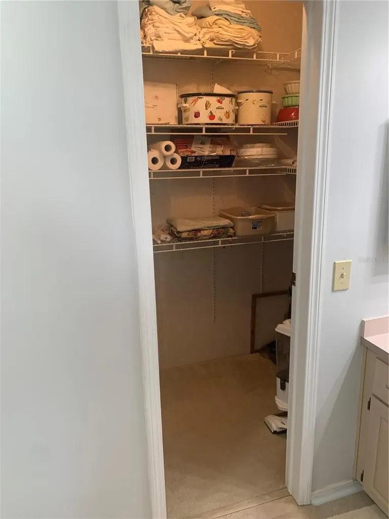 4995 Mount Olive Shores Drive Polk City FL 33868