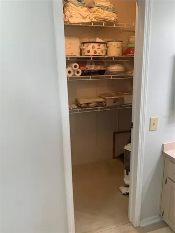 4995 Mount Olive Shores Drive Polk City FL 33868