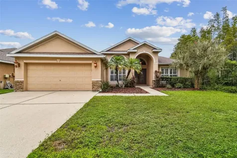 19207 Robin Perch Lane Tampa FL 33647