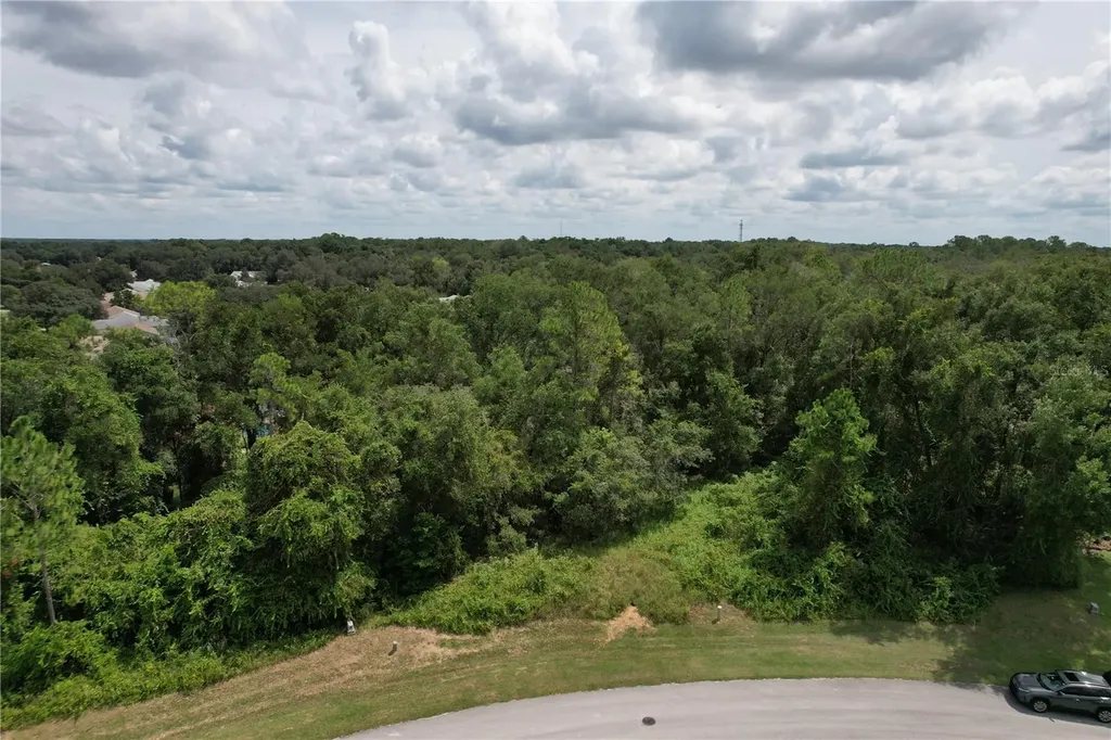 2856 E Chartwell Circle Hernando FL 34442