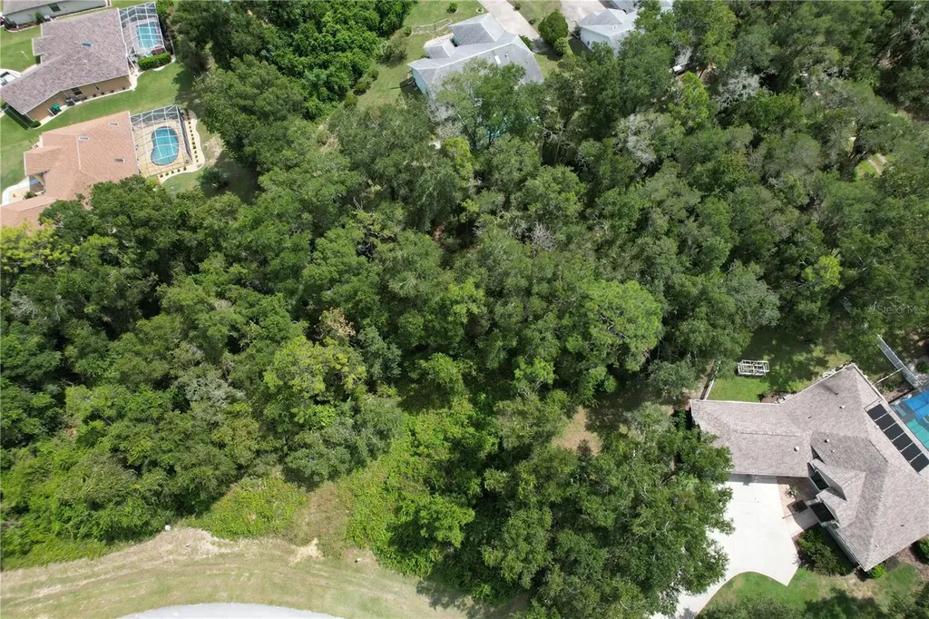 2856 E Chartwell Circle Hernando FL 34442