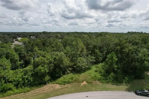 2856 E Chartwell Circle Hernando FL 34442