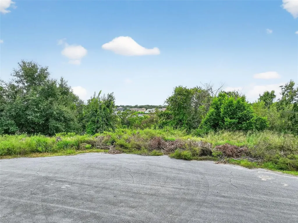 Tbd Kanuba Court Clermont FL 34711