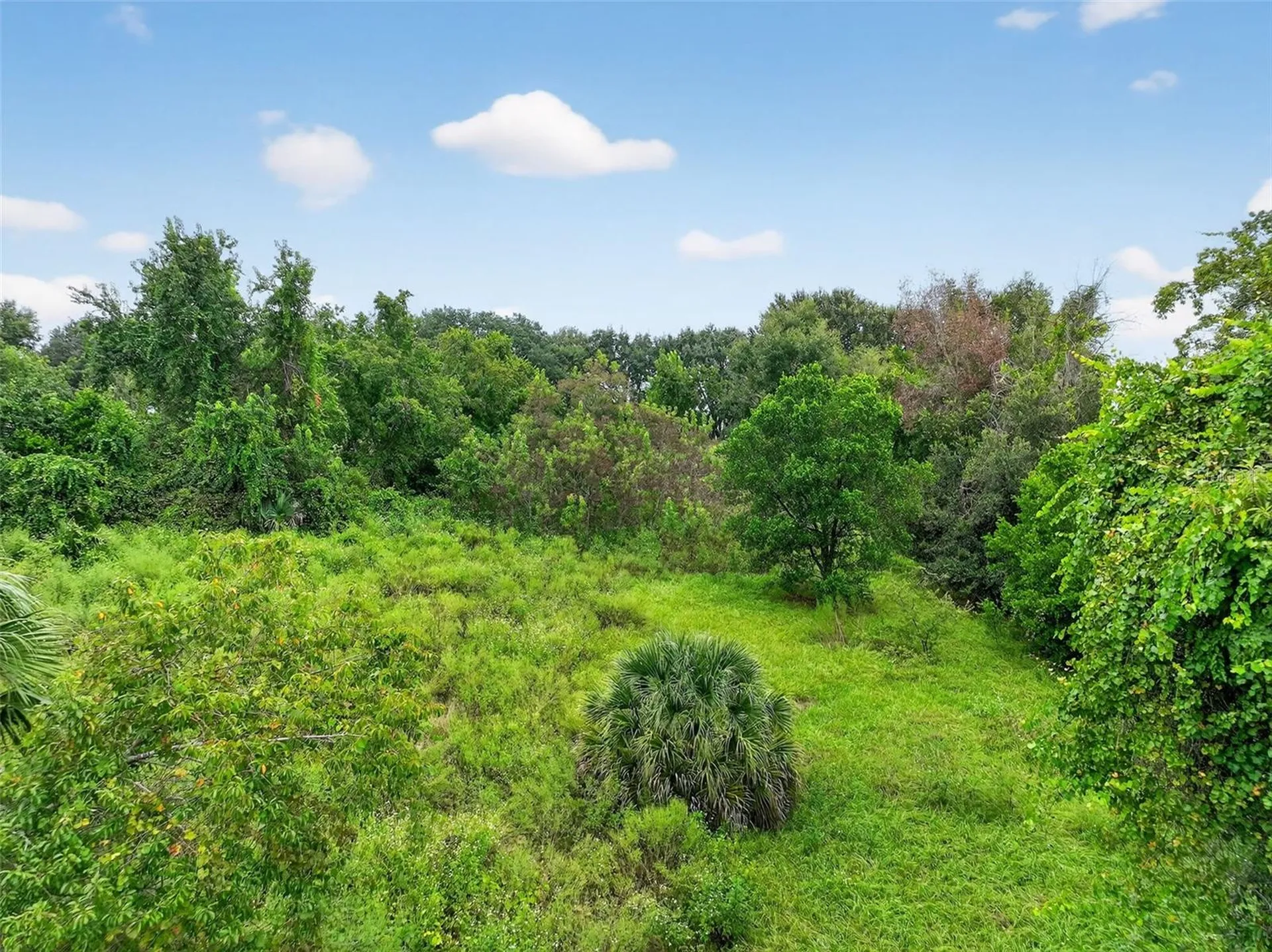 Tbd Kanuba Court Clermont FL 34711
