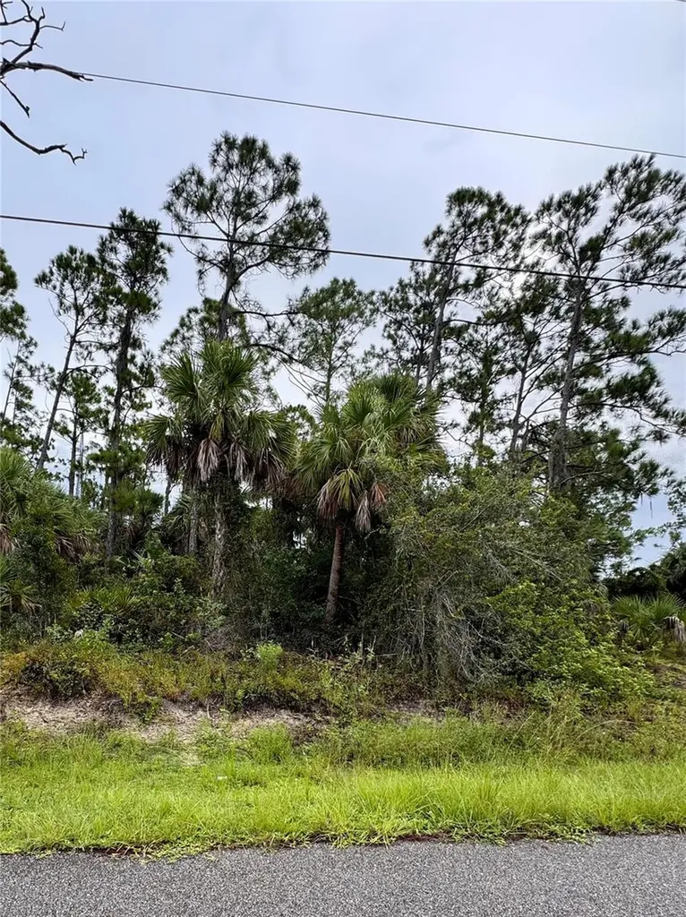Sadnet Lane North Port FL 34286