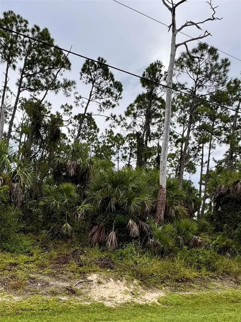 Sadnet Lane North Port FL 34286