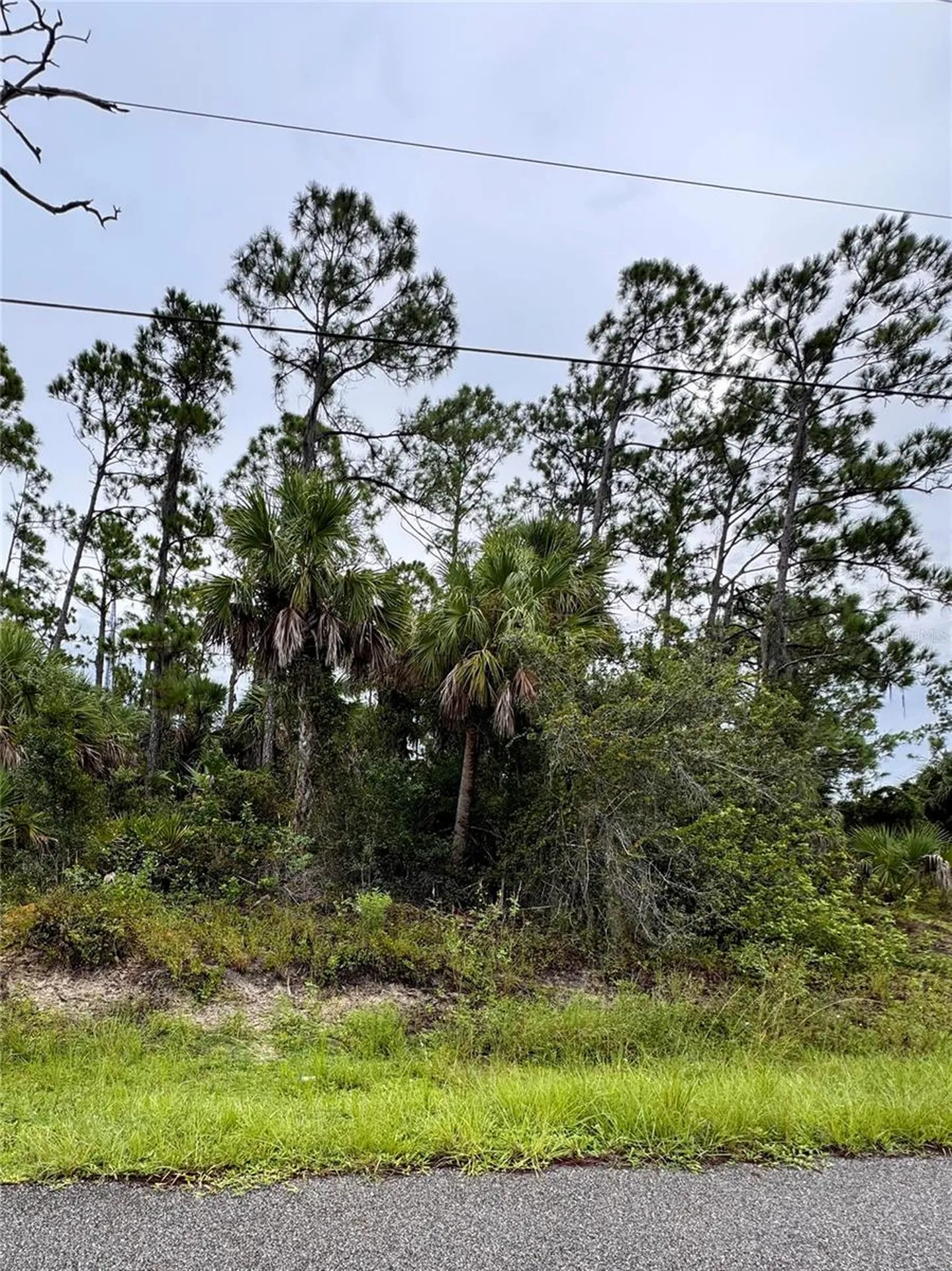 Sadnet Lane North Port FL 34286