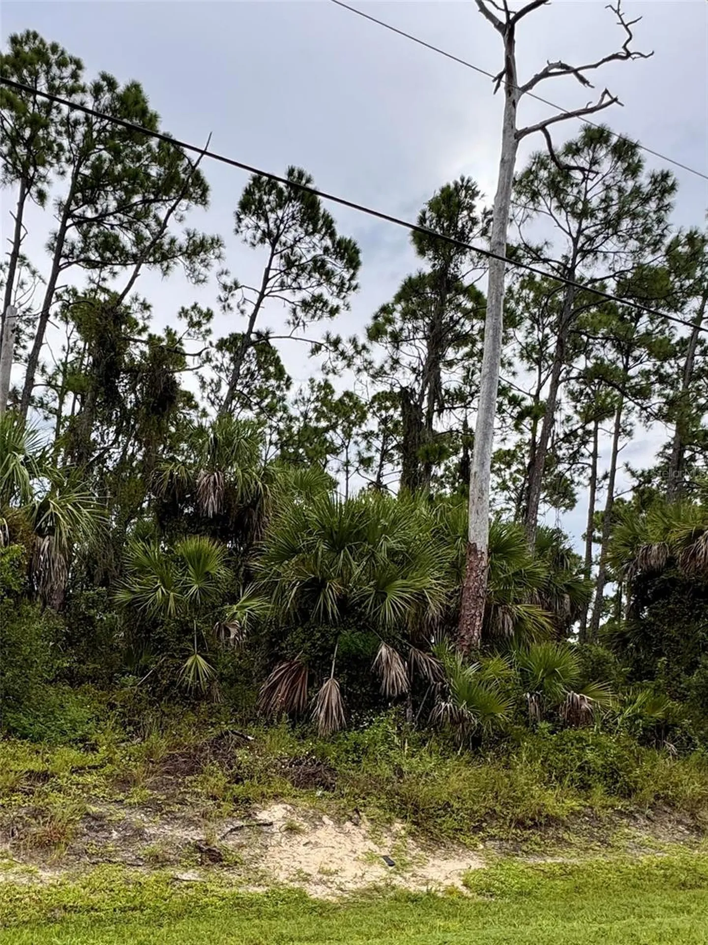 Sadnet Lane North Port FL 34286
