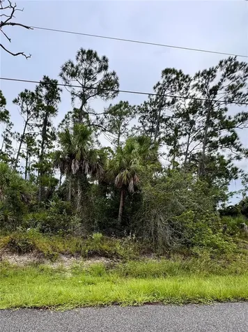 Sadnet Lane North Port FL 34286