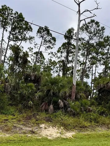 Sadnet Lane North Port FL 34286