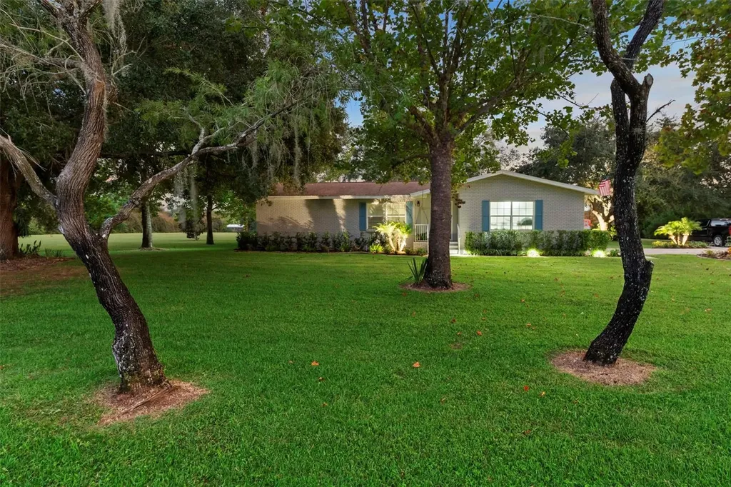 20018 Bill Collins Road Eustis FL 32736